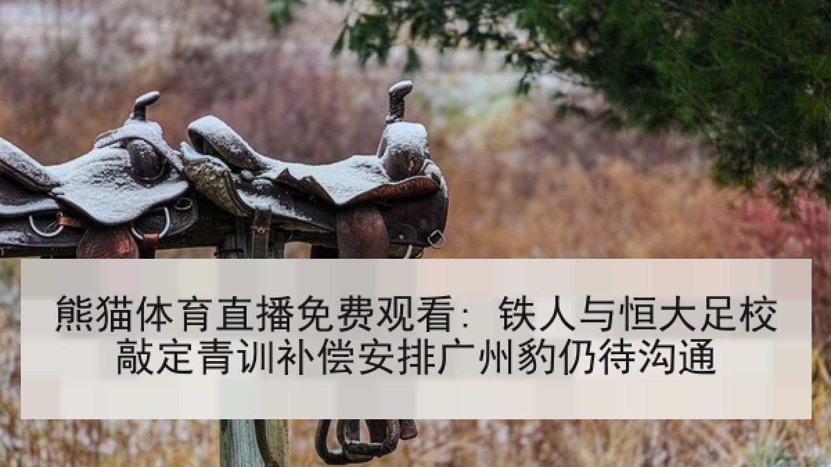 熊猫体育直播免费观看: 铁人与恒大足校敲定青训补偿安排广州豹仍待沟通