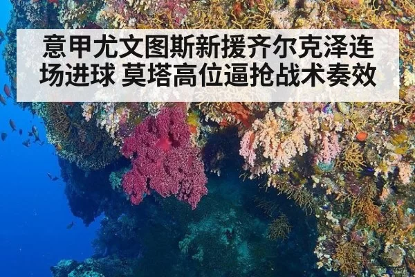 意甲尤文图斯新援齐尔克泽连场进球 莫塔高位逼抢战术奏效